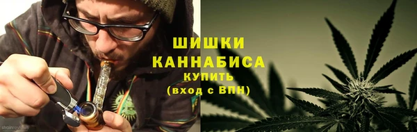 гашик Кулебаки