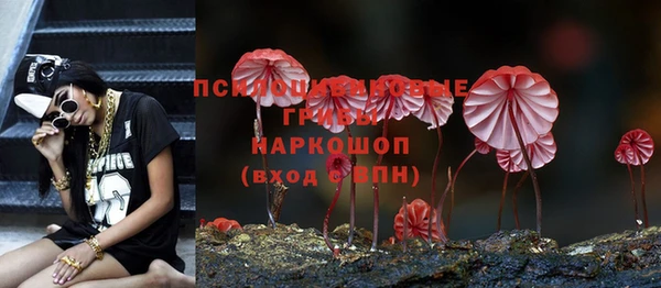 a pvp Куйбышев