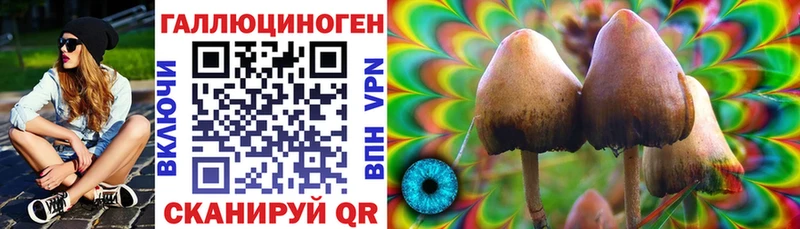 Купить где  Черемхово  Галлюциногенные грибы ЛСД 